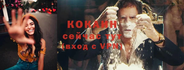 дживик Кулебаки