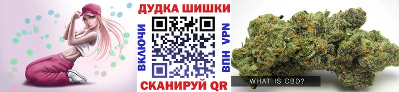 где найти наркотики  Судак  Конопля сатива 